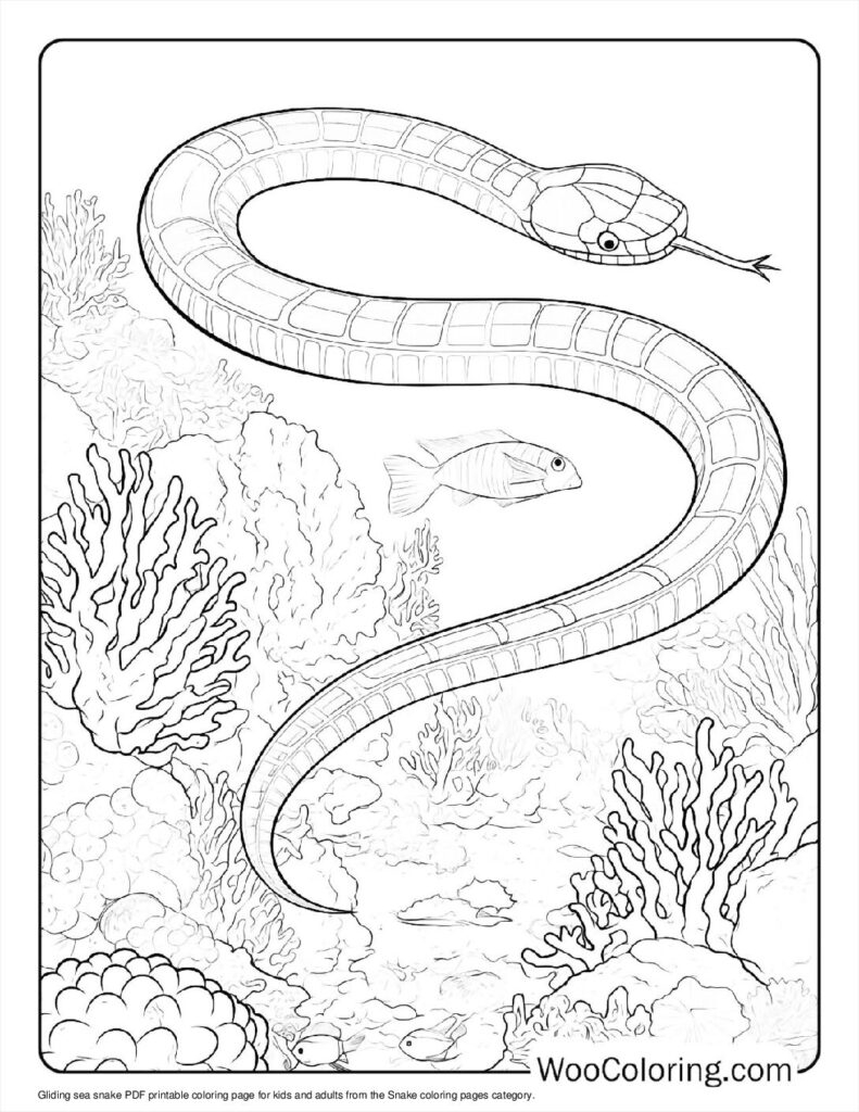 colouring pages of snakes