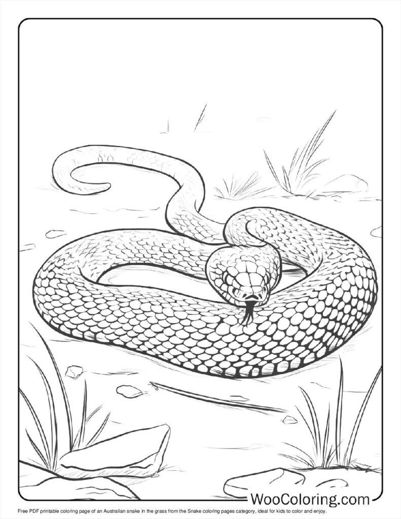 100 Snake Coloring Pages Free PDF To Print Woo Coloring