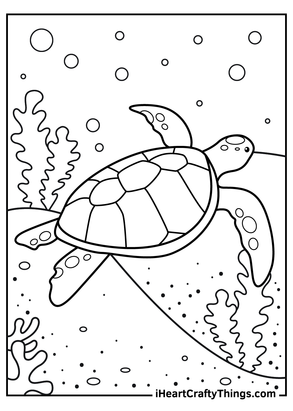 colouring pages of turtles