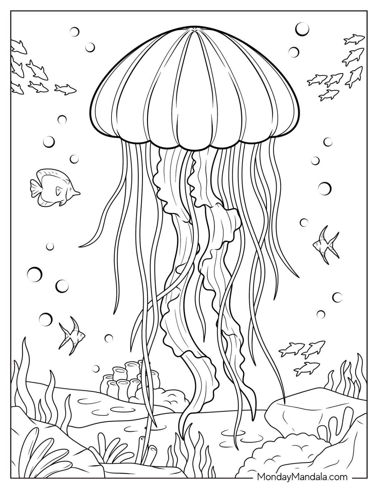 coloring page of a jellyfish