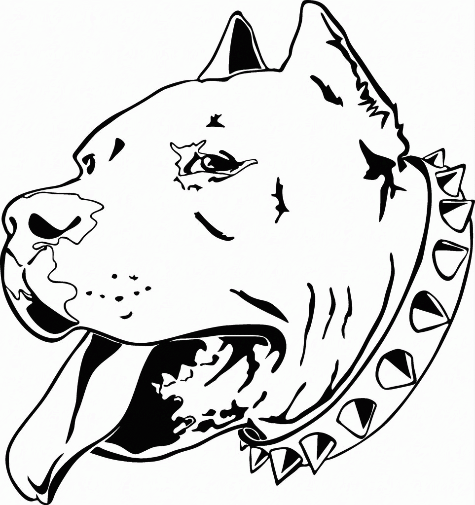 pitbull dog coloring pages