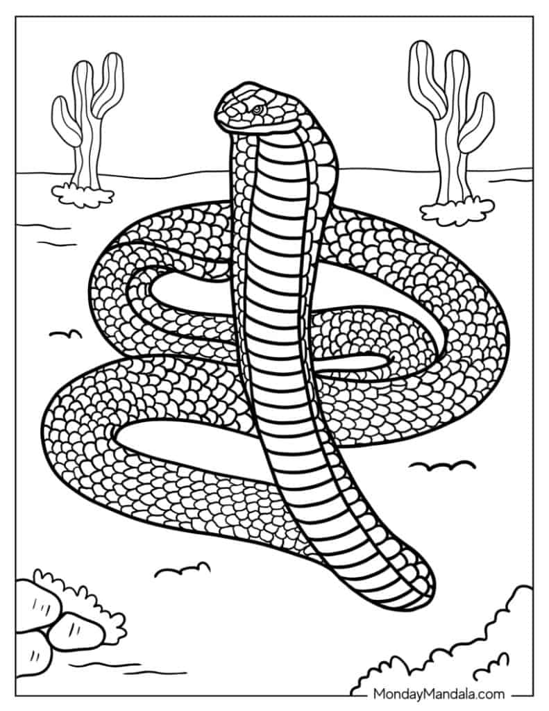 40 Snake Coloring Pages Free PDF Printables 