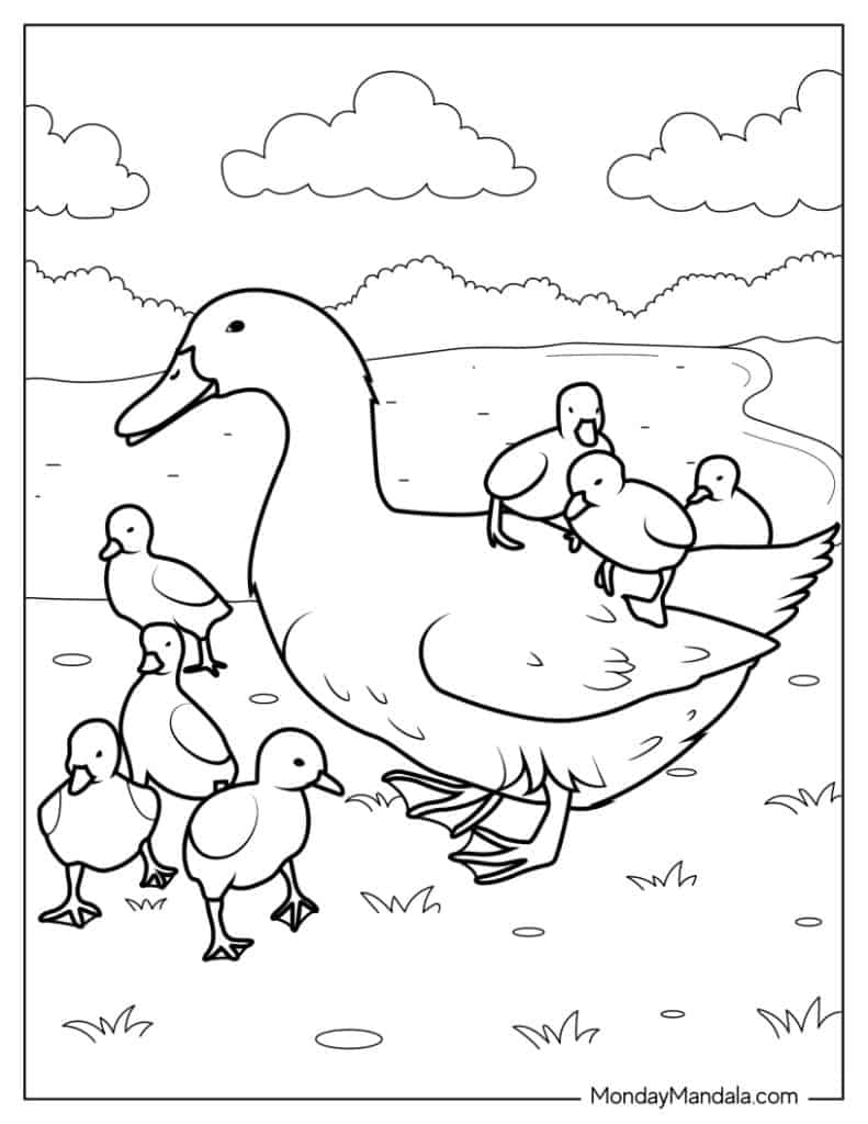 duck and duckling coloring pages