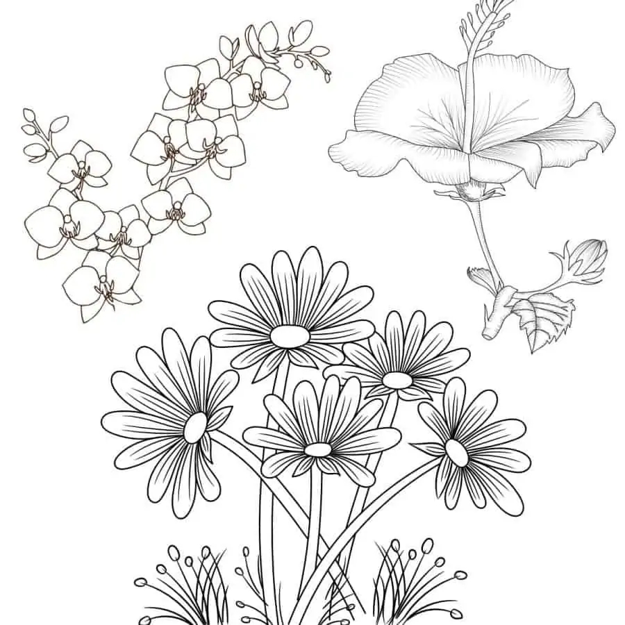 free floral coloring pages