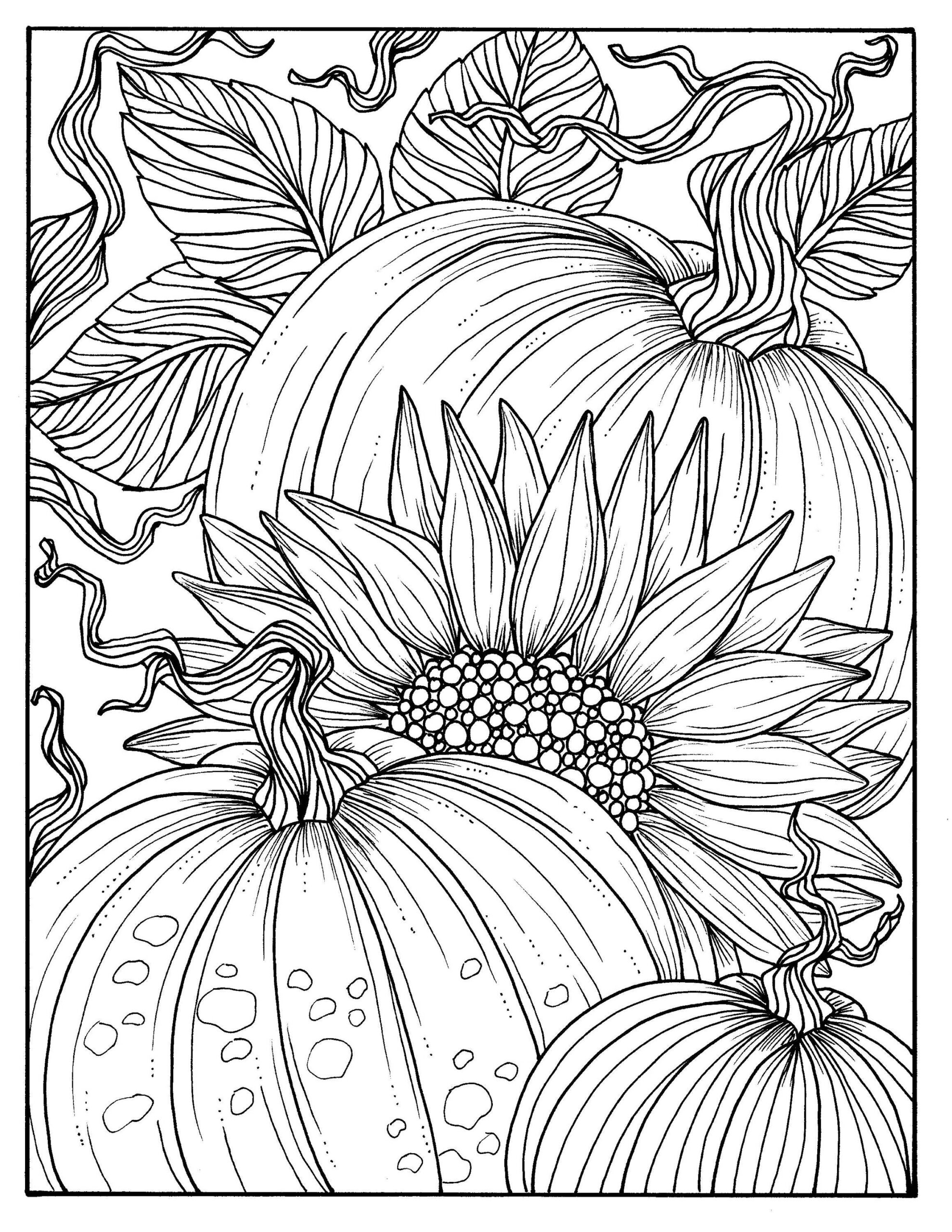 5 Pages Fabulous Fall Digital Downloads To Color Punpkins Crows Sunflowers Gourds Squirrel Thanks Autumn Etsy Ireland