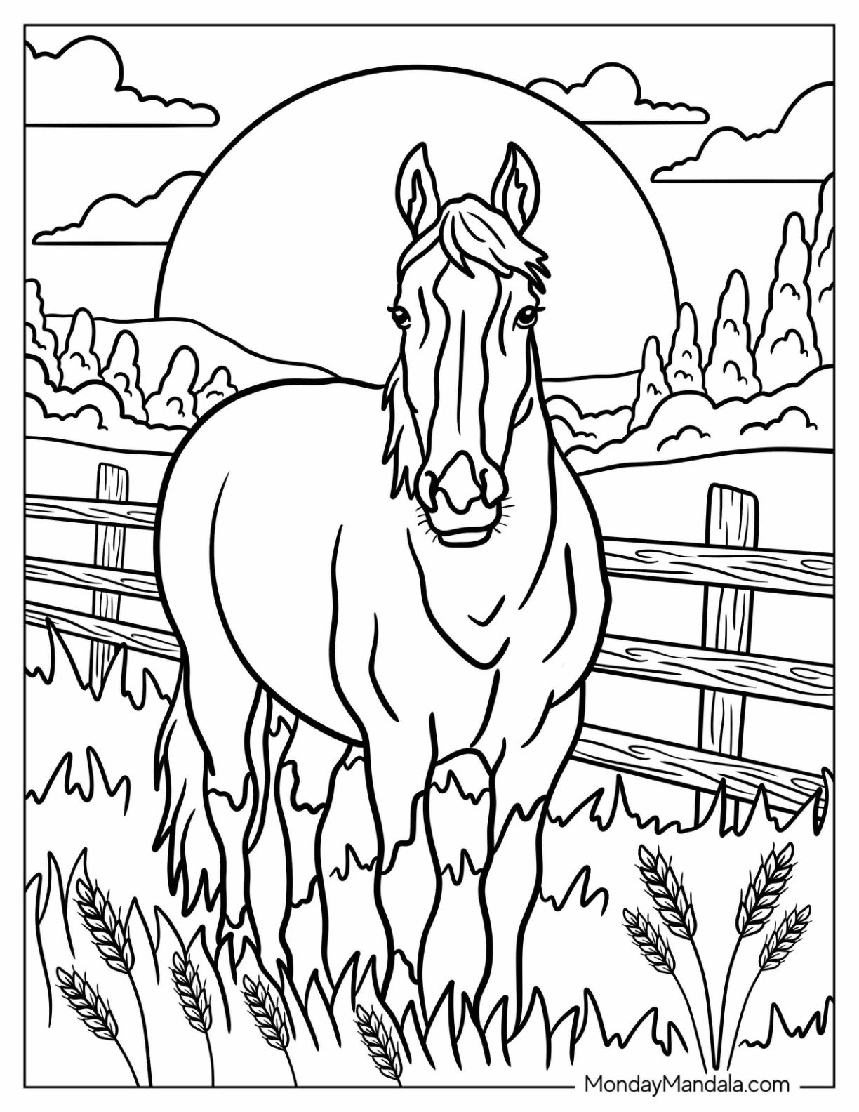 horse printable colouring pages