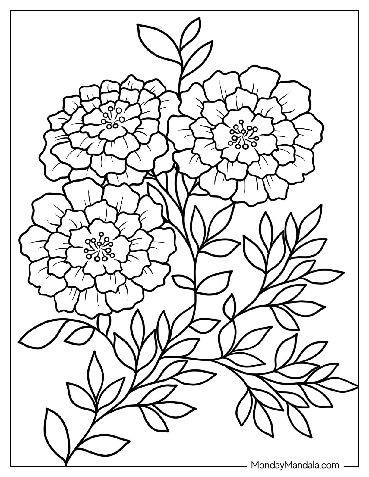 free flower coloring sheets printable