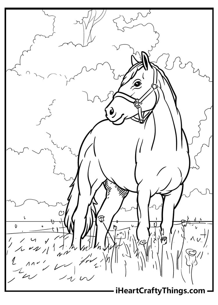 horse coloring sheets free