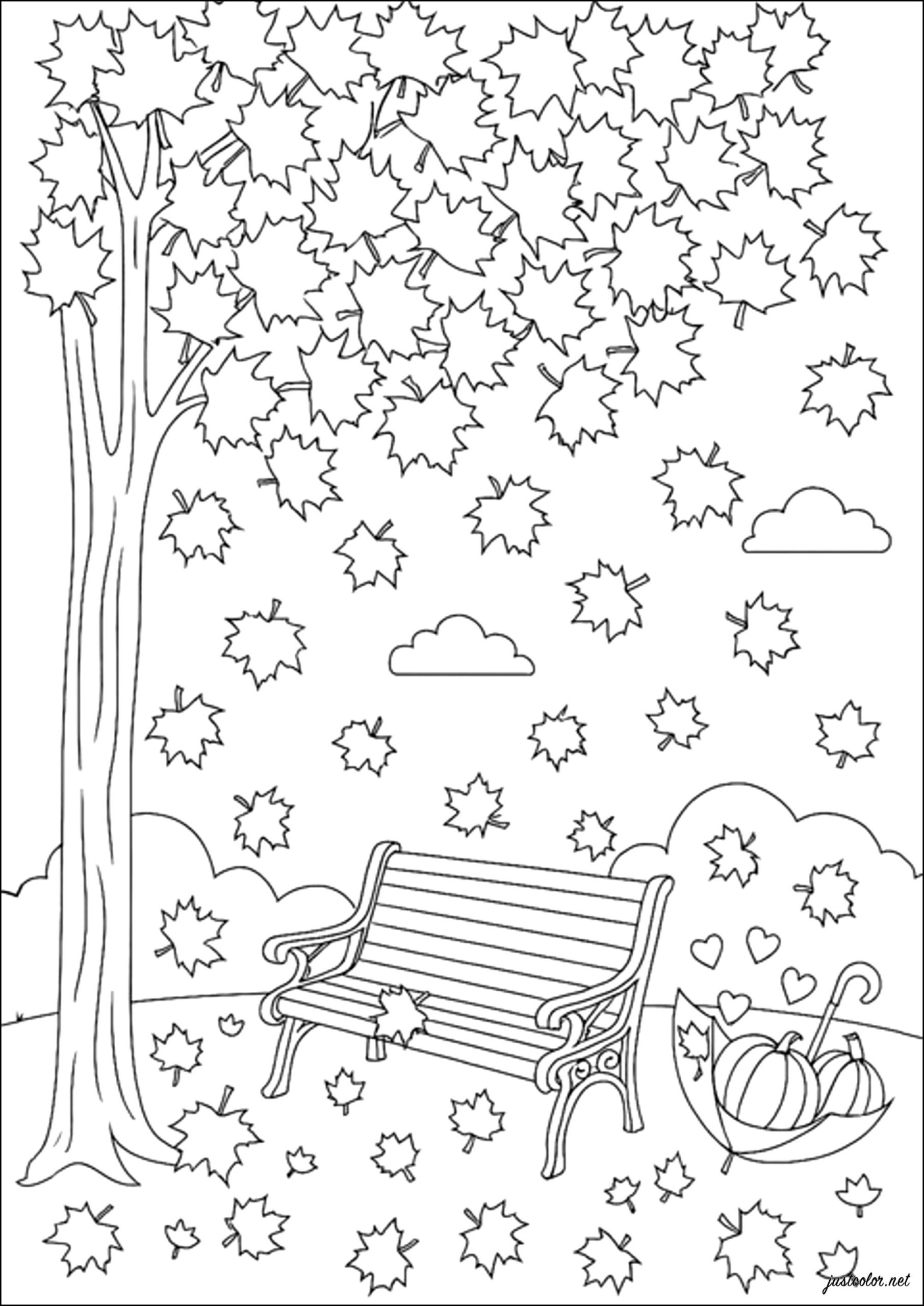 autumn colouring in sheets