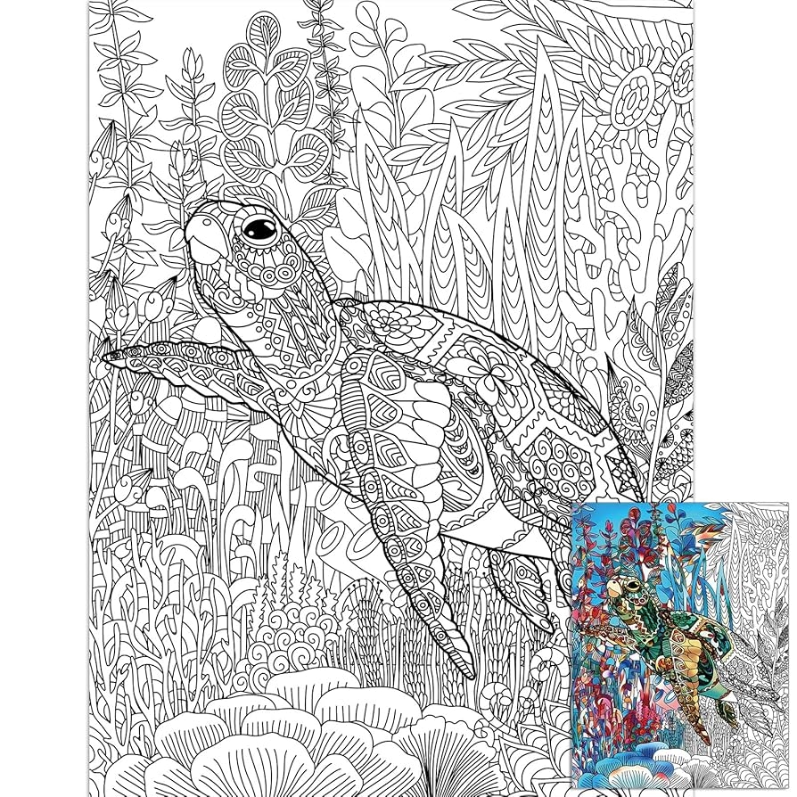 sea turtle color page