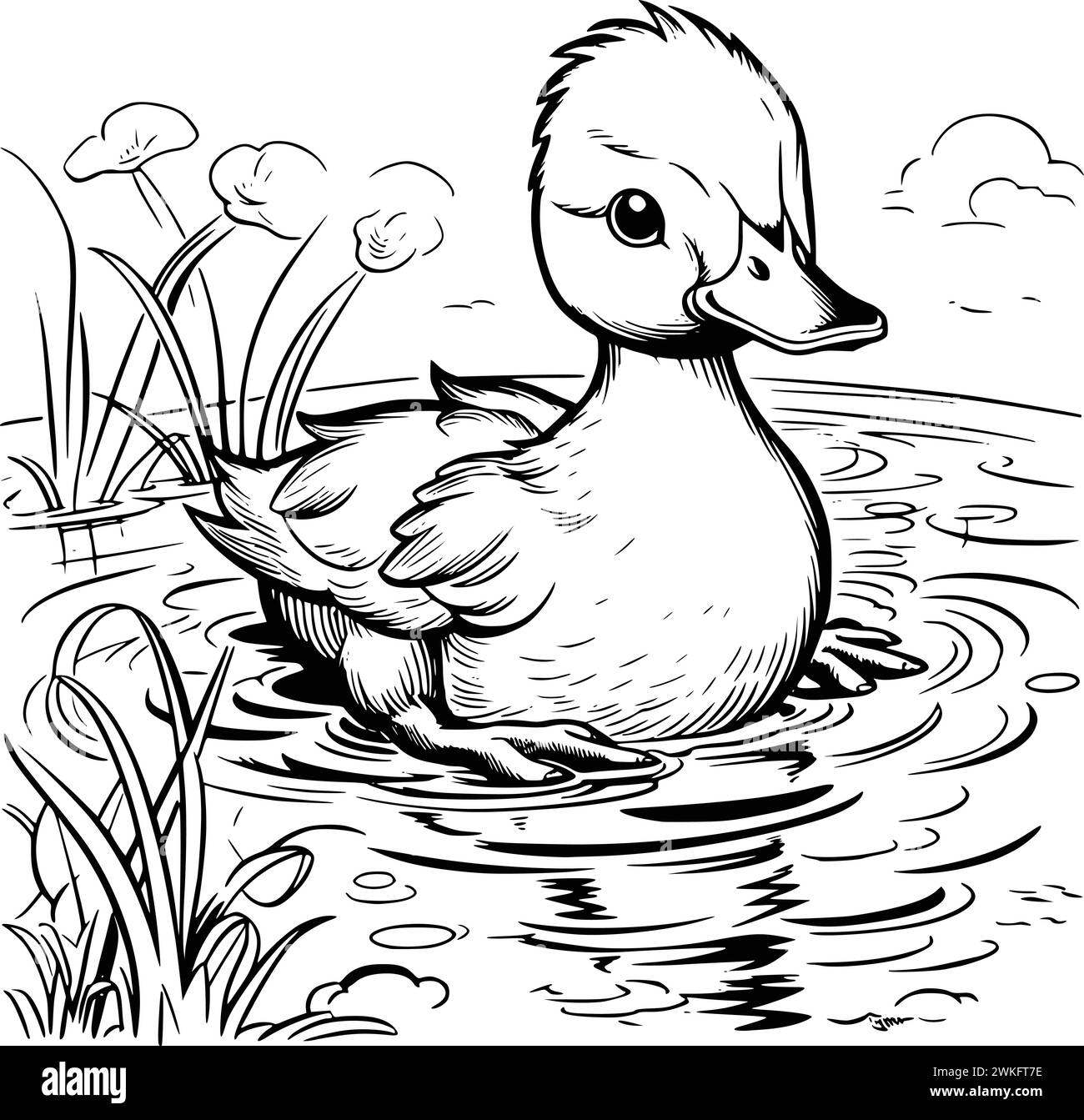 Baby Duckling Coloring Pages Black And White Stock Photos Images Alamy