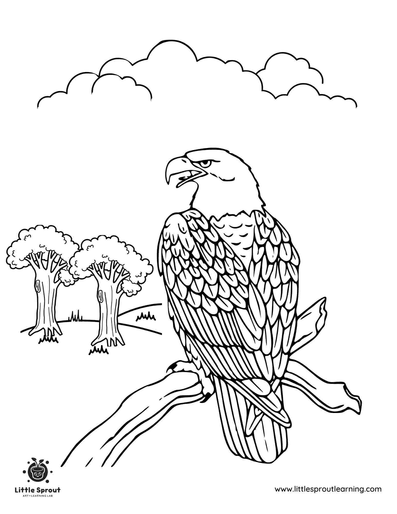 Bald Eagle Coloring Page 2 Little Sprout Art Learning Lab