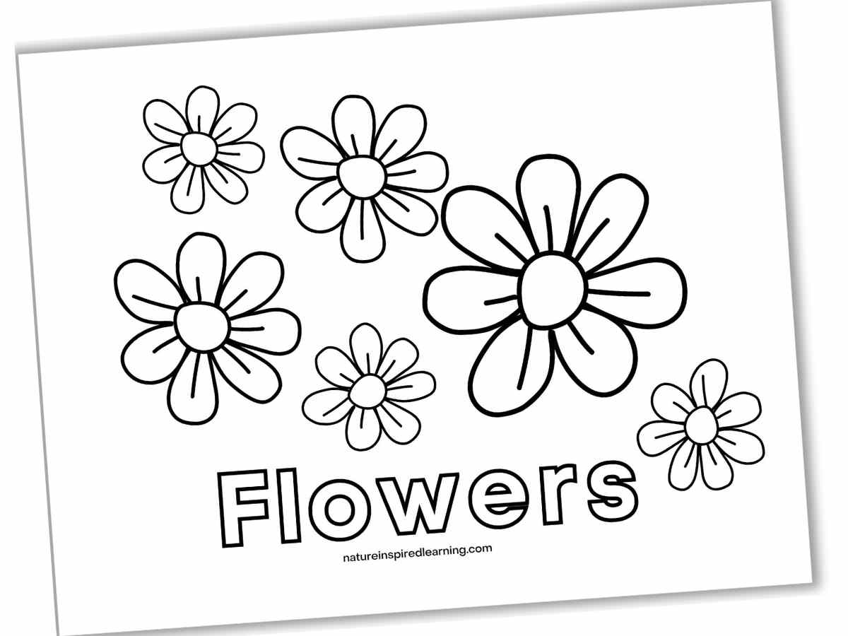 printable flowers to color