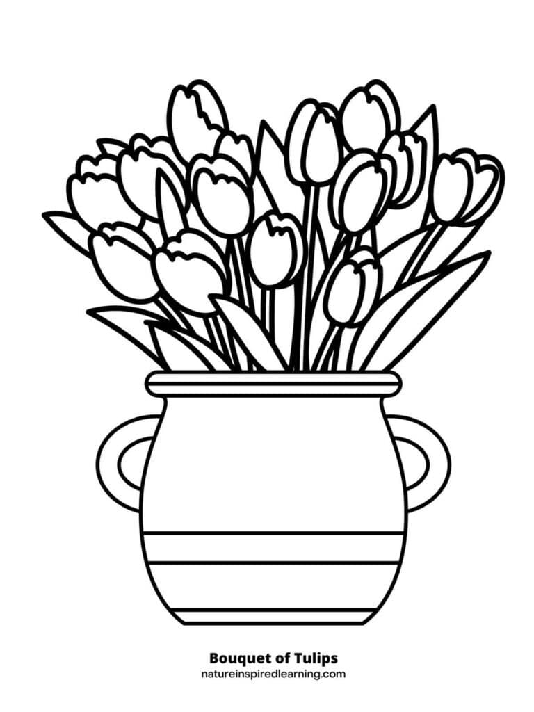 tulip template to color