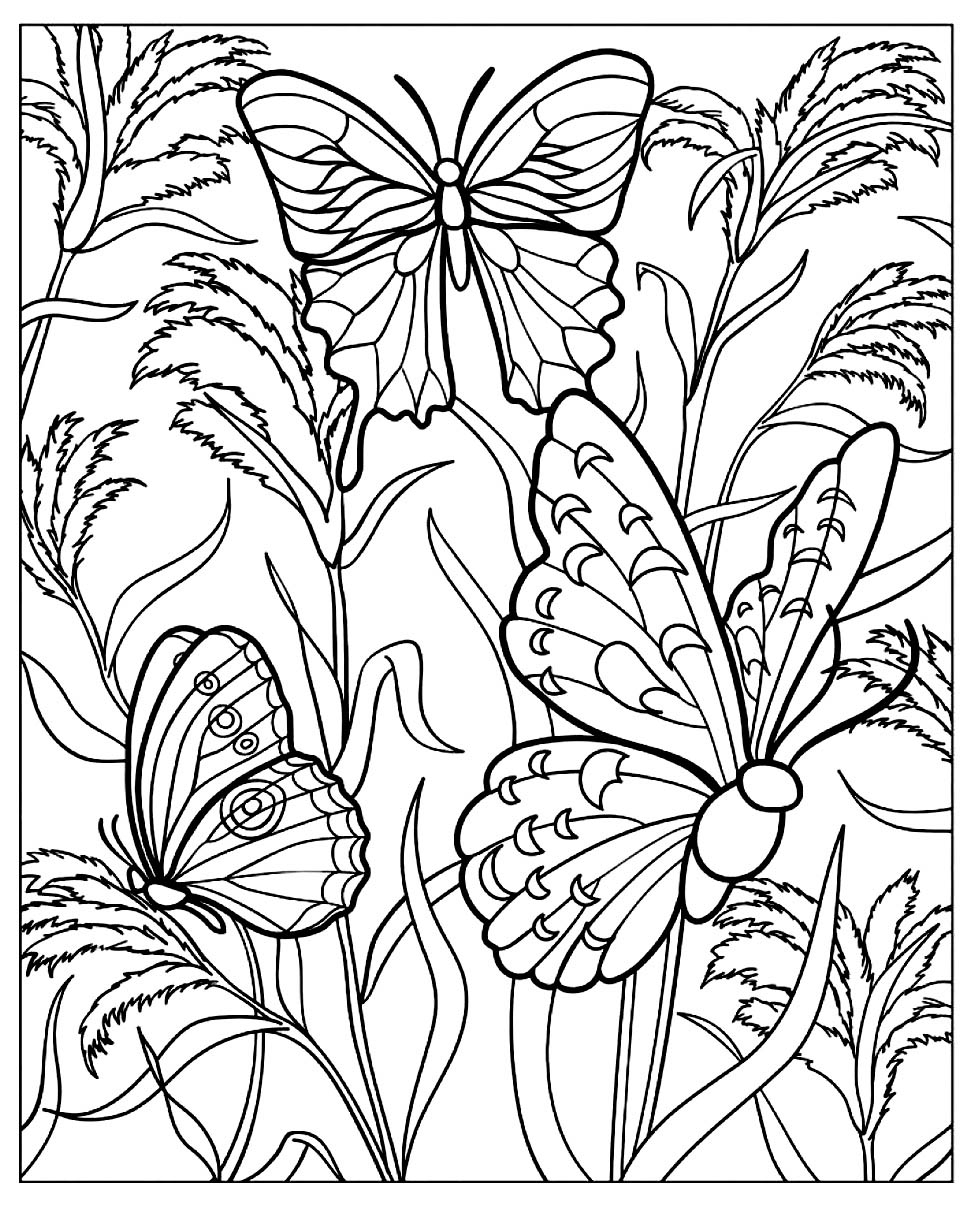 free butterfly coloring sheets