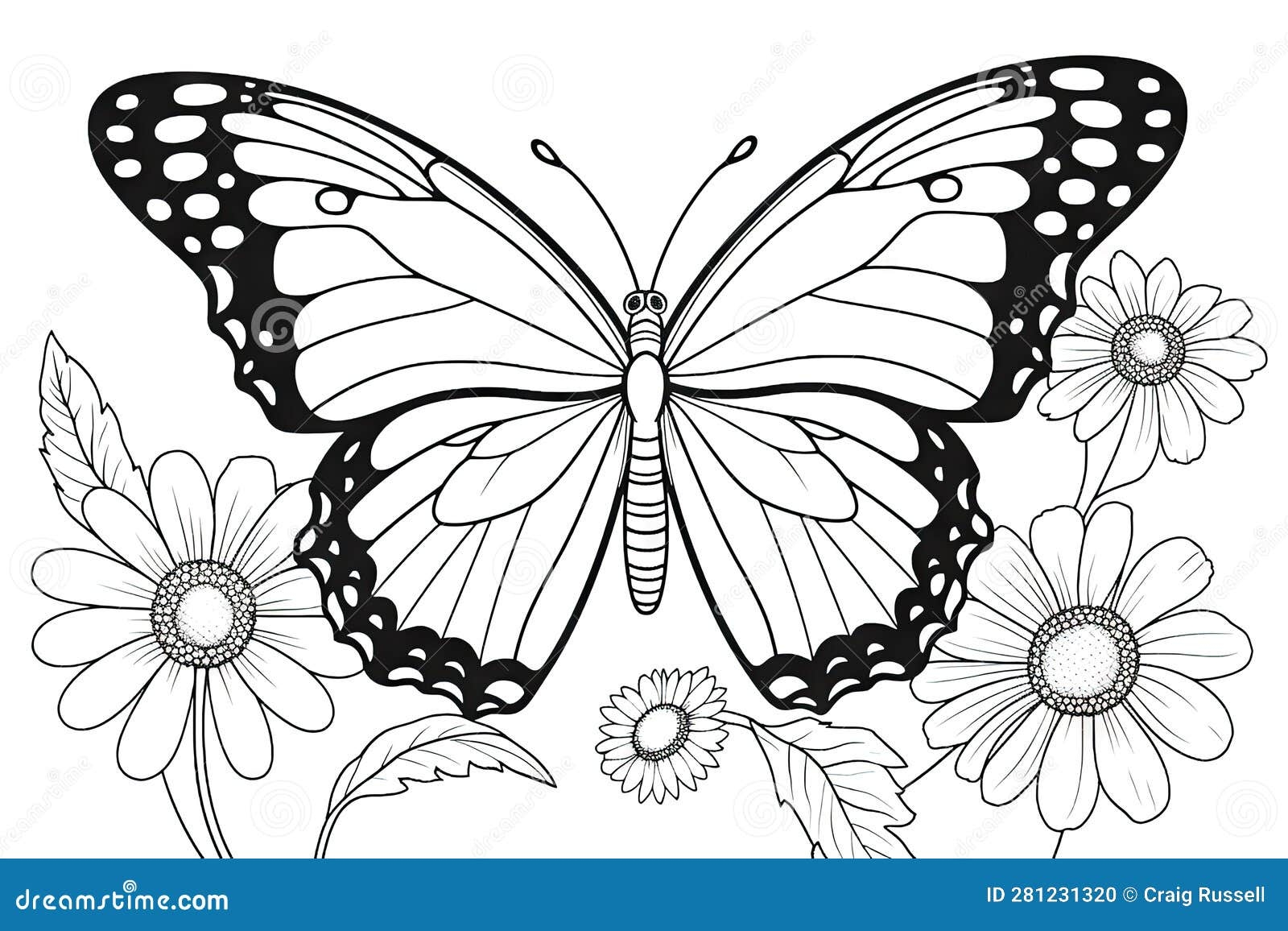 butterfly images to colour butterfly images to colour
