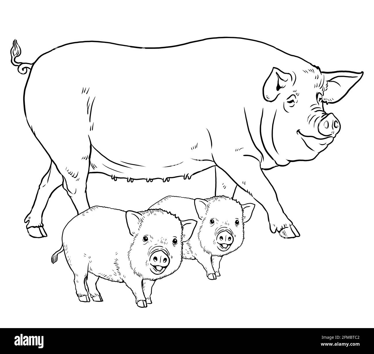 Coloring Page With The Animals Pig With Piglets For Coloring Digital Drawing Stock Photo Alamy