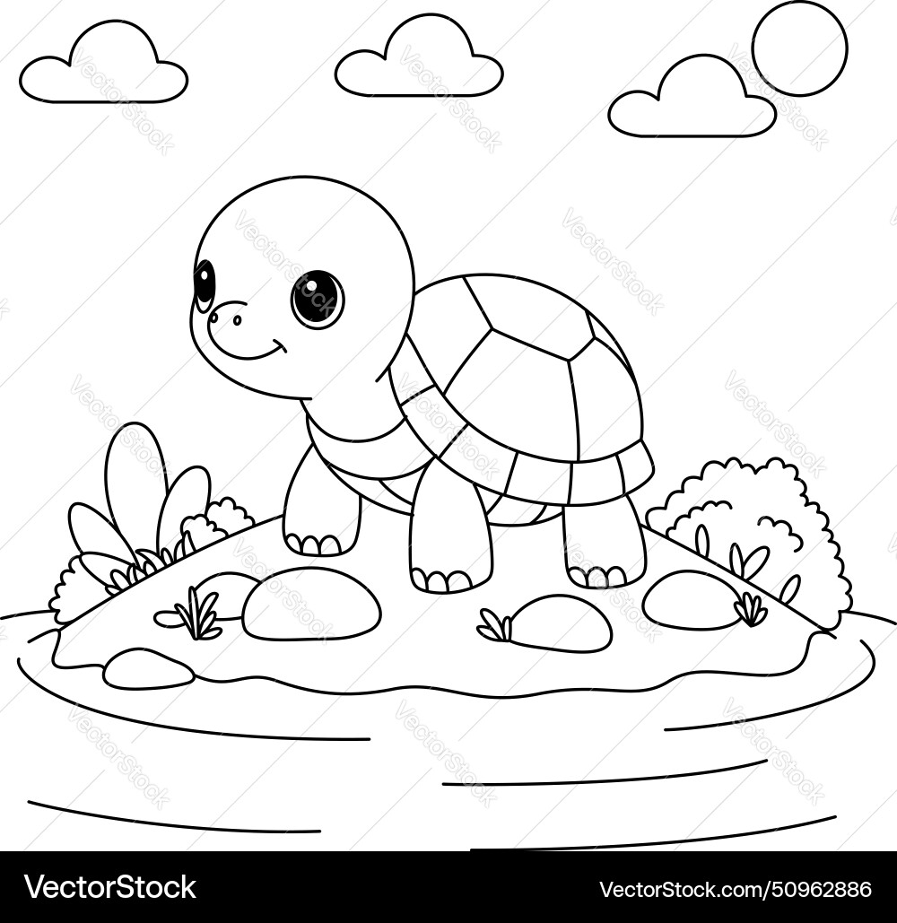 coloring sheets of turtles