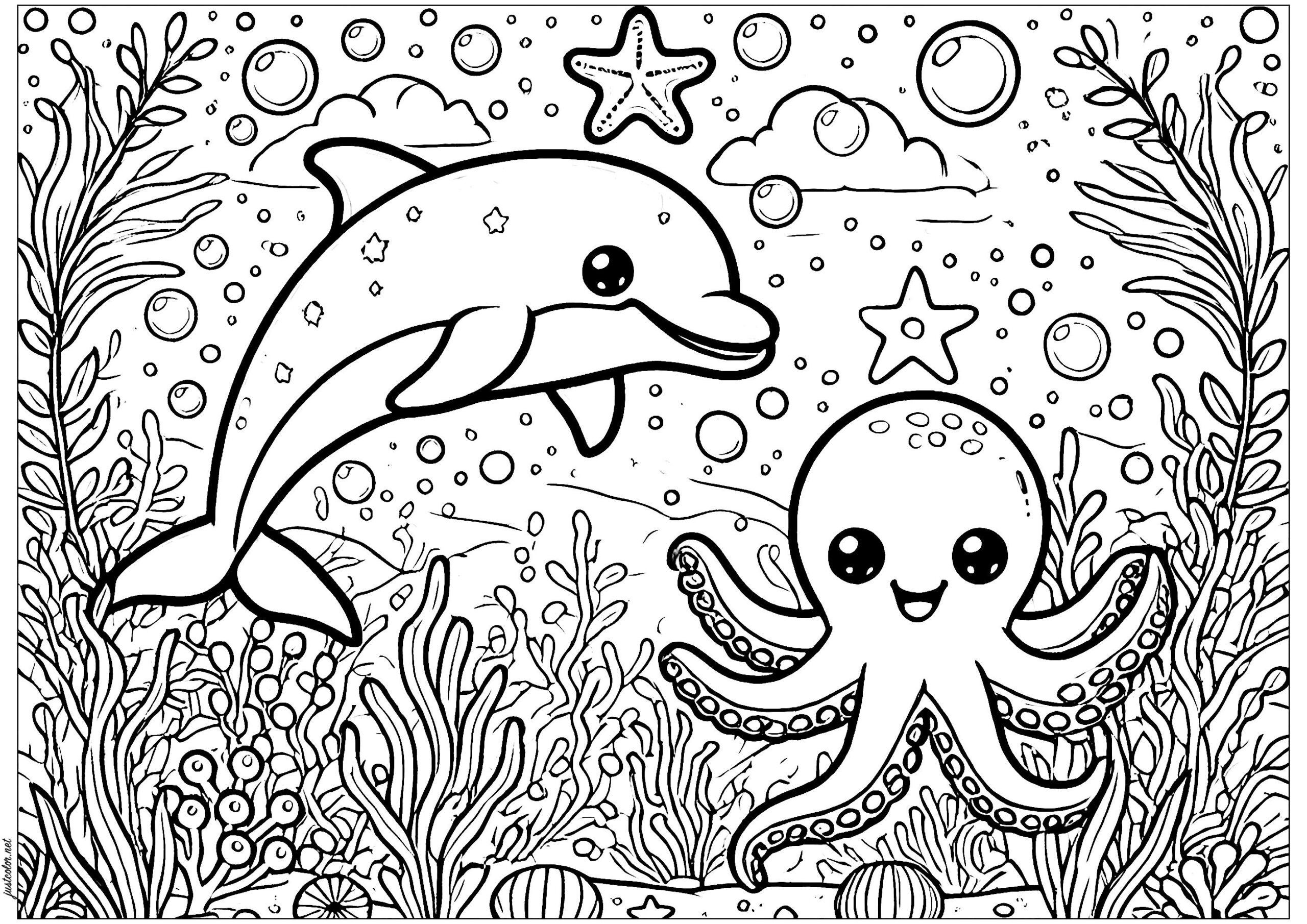 dolphin pictures to color