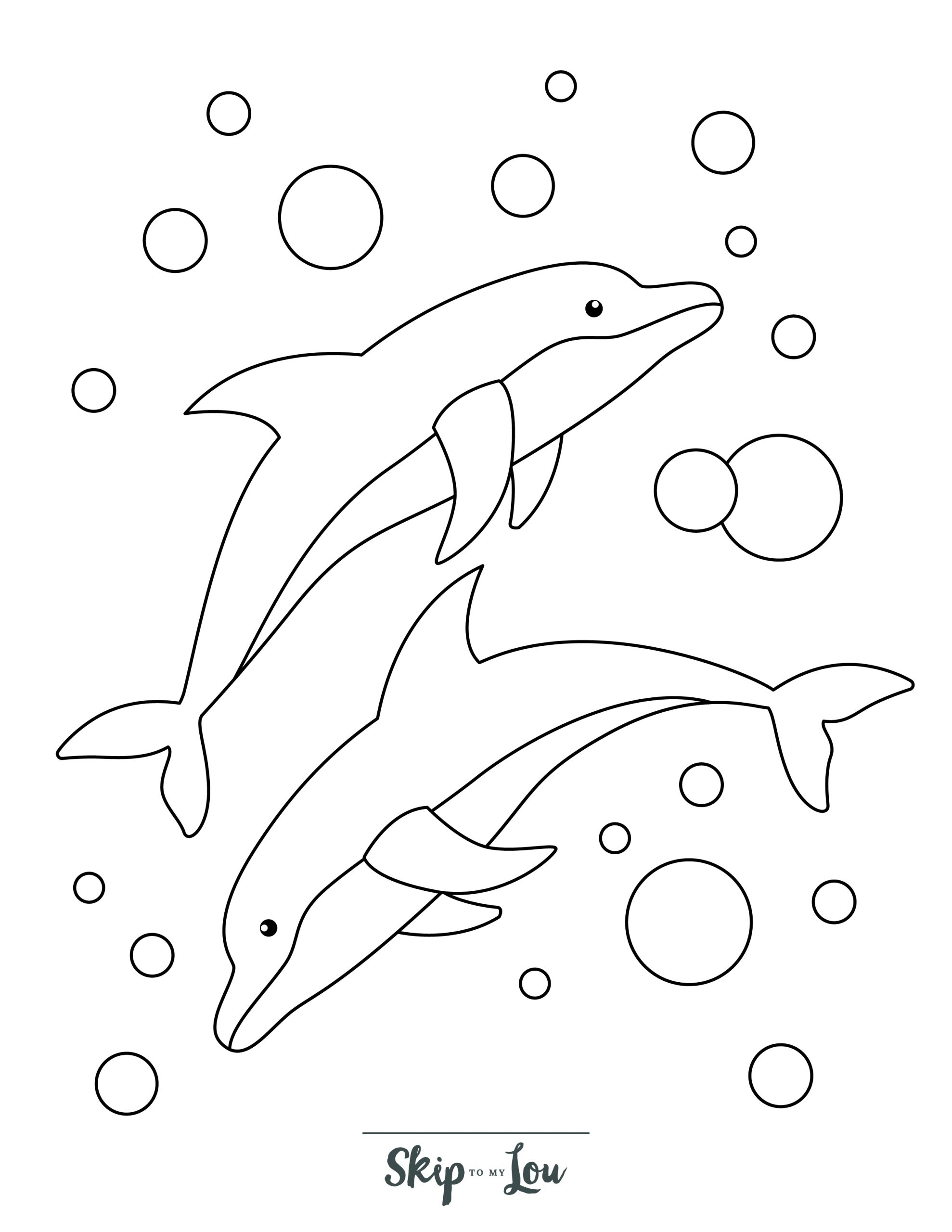 coloring sheets of dolphins