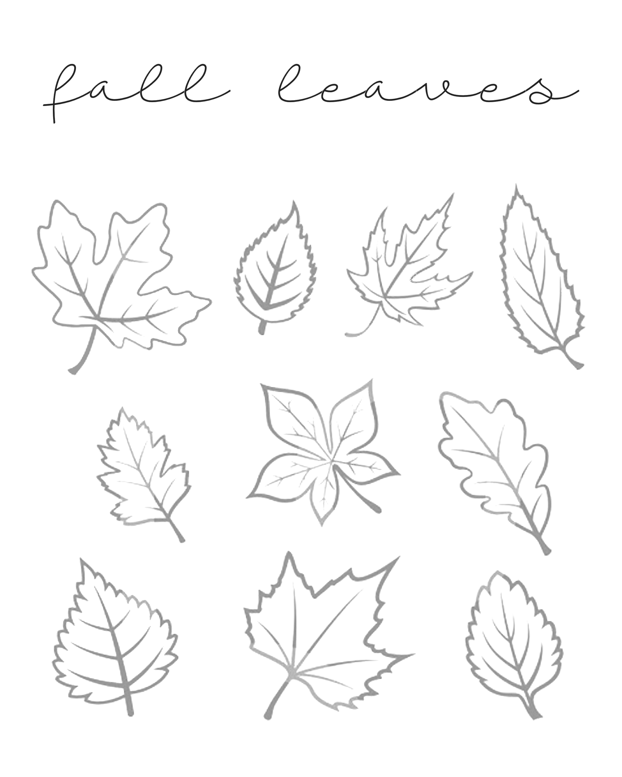 Fall Leaves Printable Our Kid Things