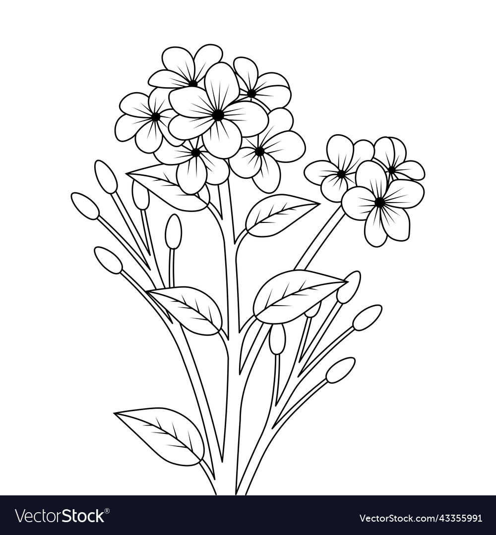 pictures of flowers to color