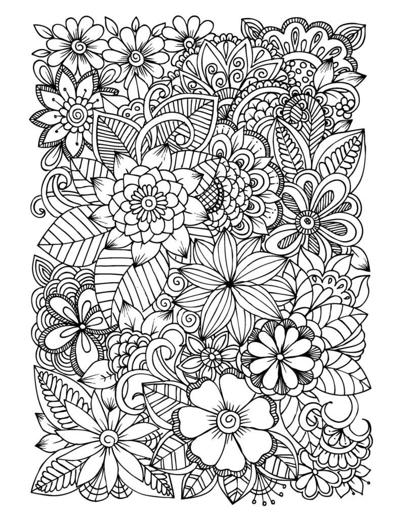 Flower Coloring Pages 30 Flowers Adult Coloring Pages 30 Digital Coloring Pages printable PDF Download Etsy Australia