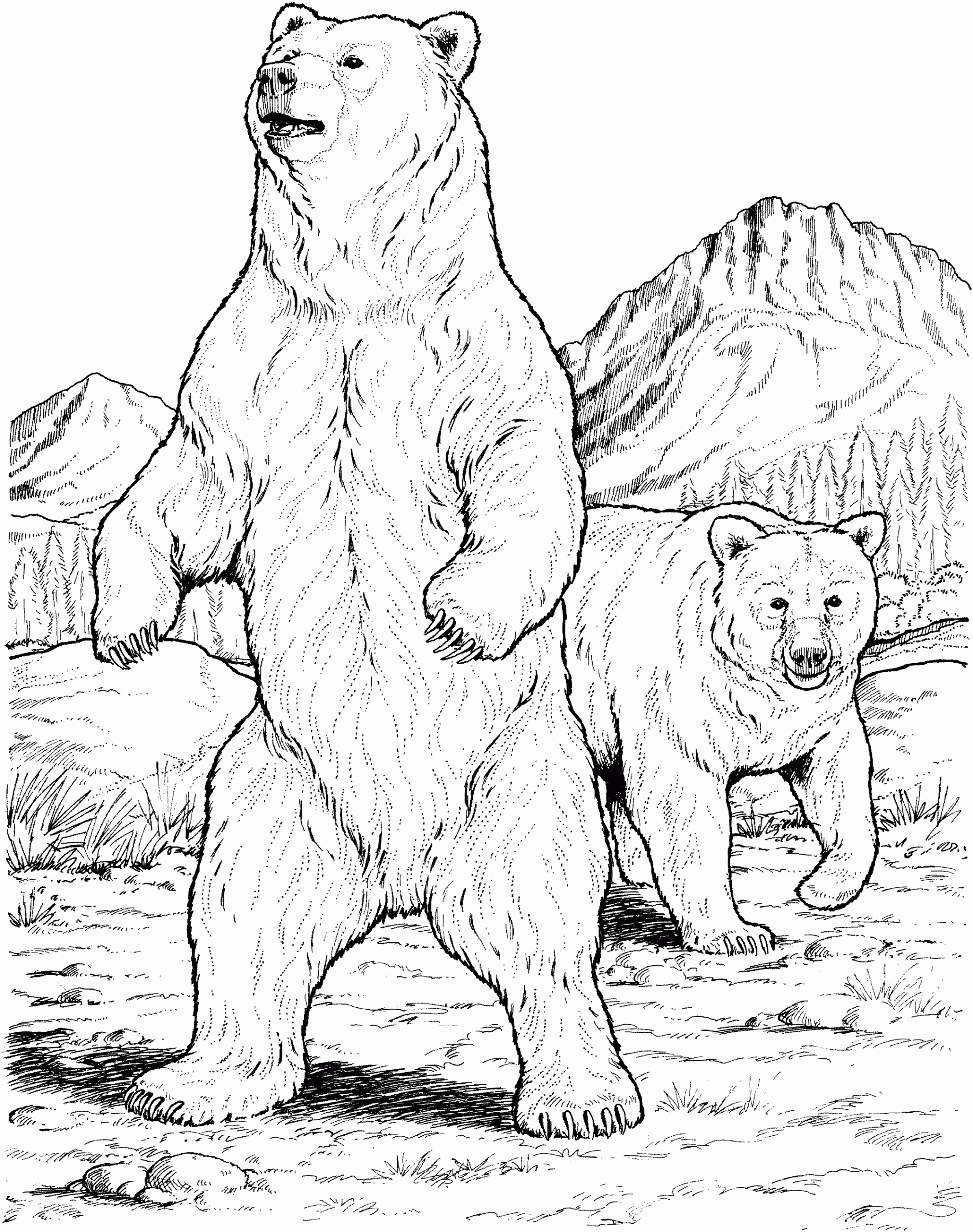 brown bear coloring sheet