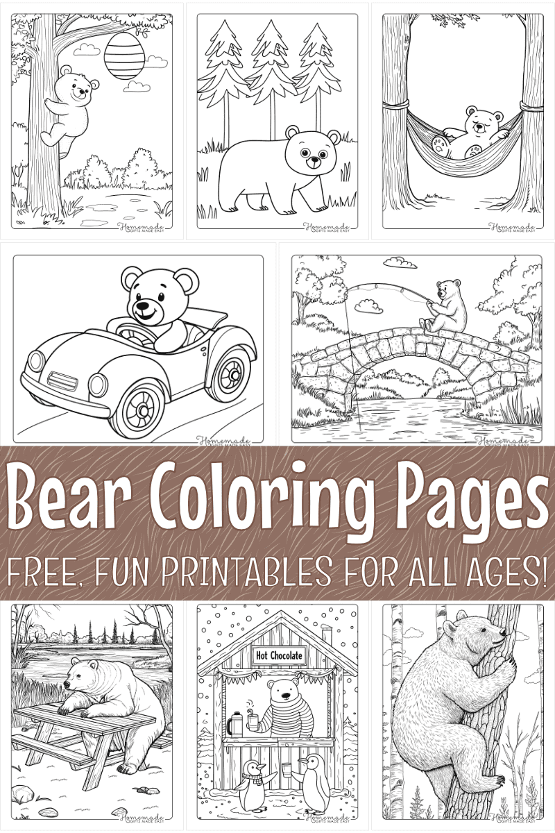 Free Bear Coloring Pages For Kids And Adults Printable PDFs 