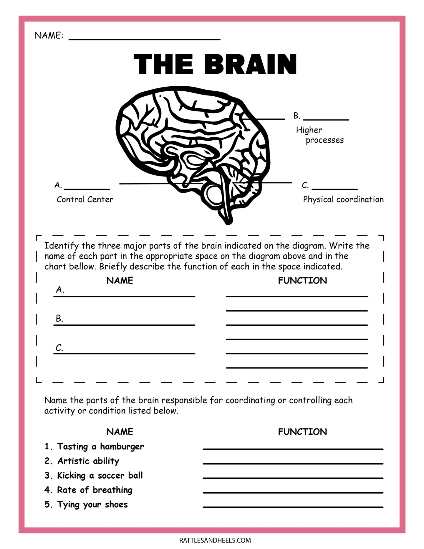 Free Custom Printable Science Worksheet Templates Canva Worksheets Library