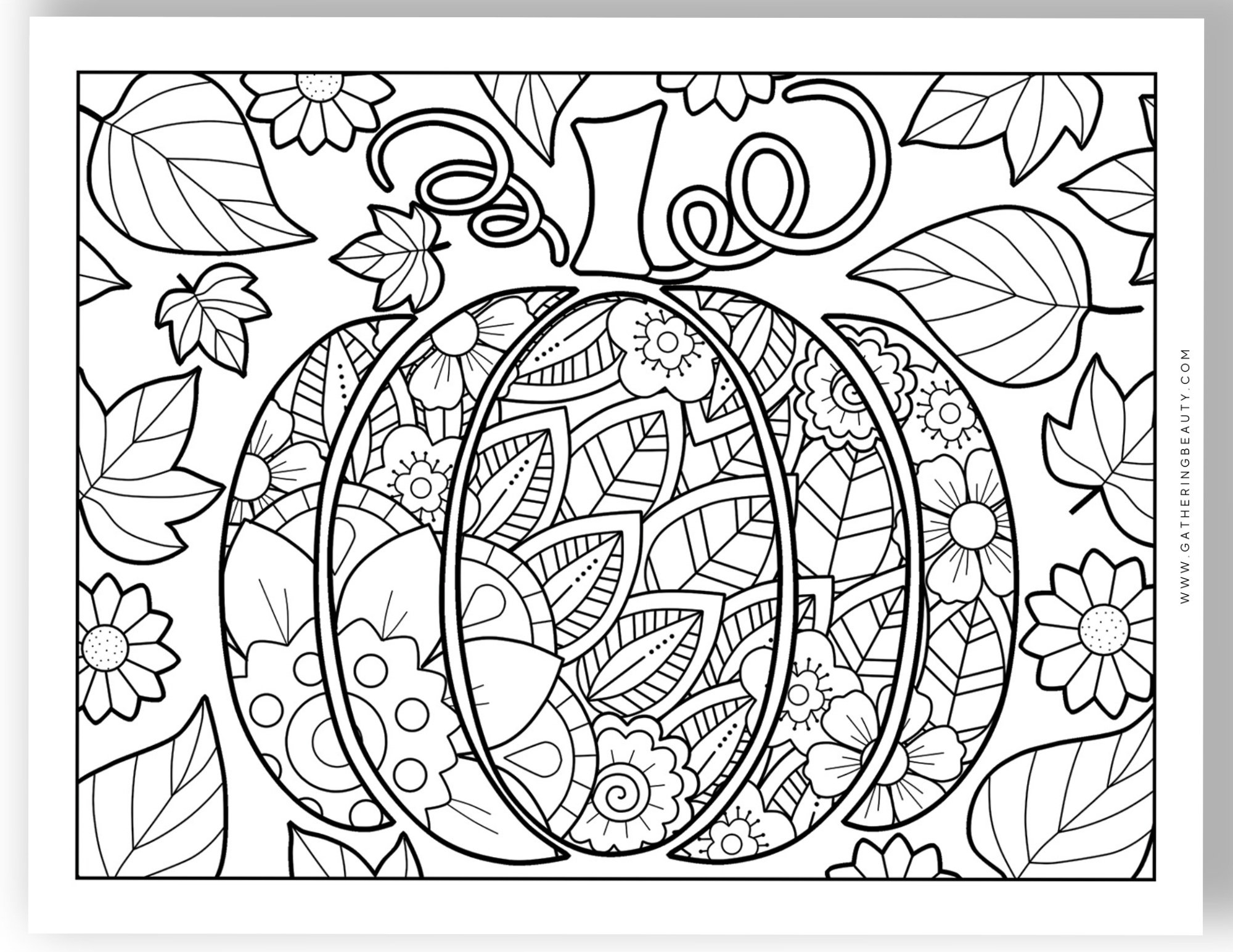 free fall color sheets