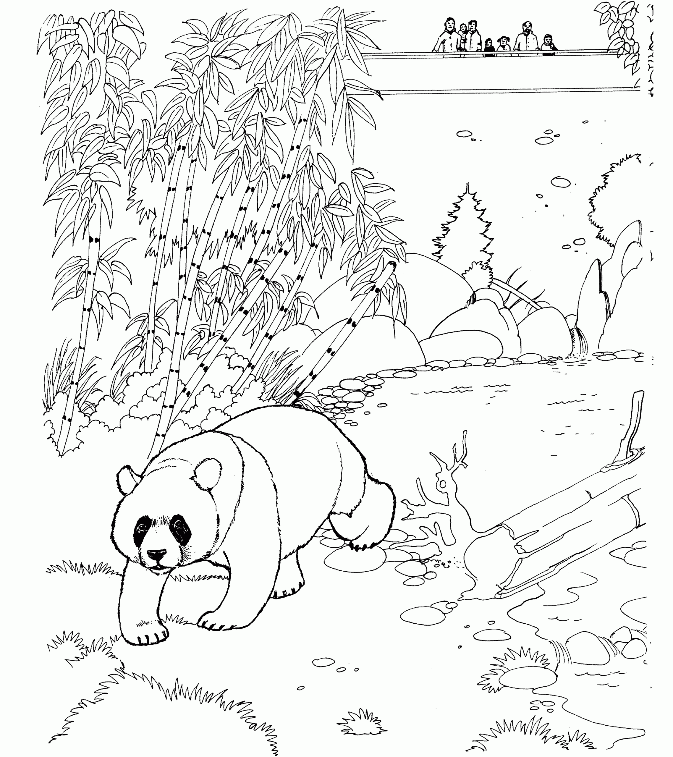 Free Panda Bear Coloring Pages Free Panda Bear Coloring Pages