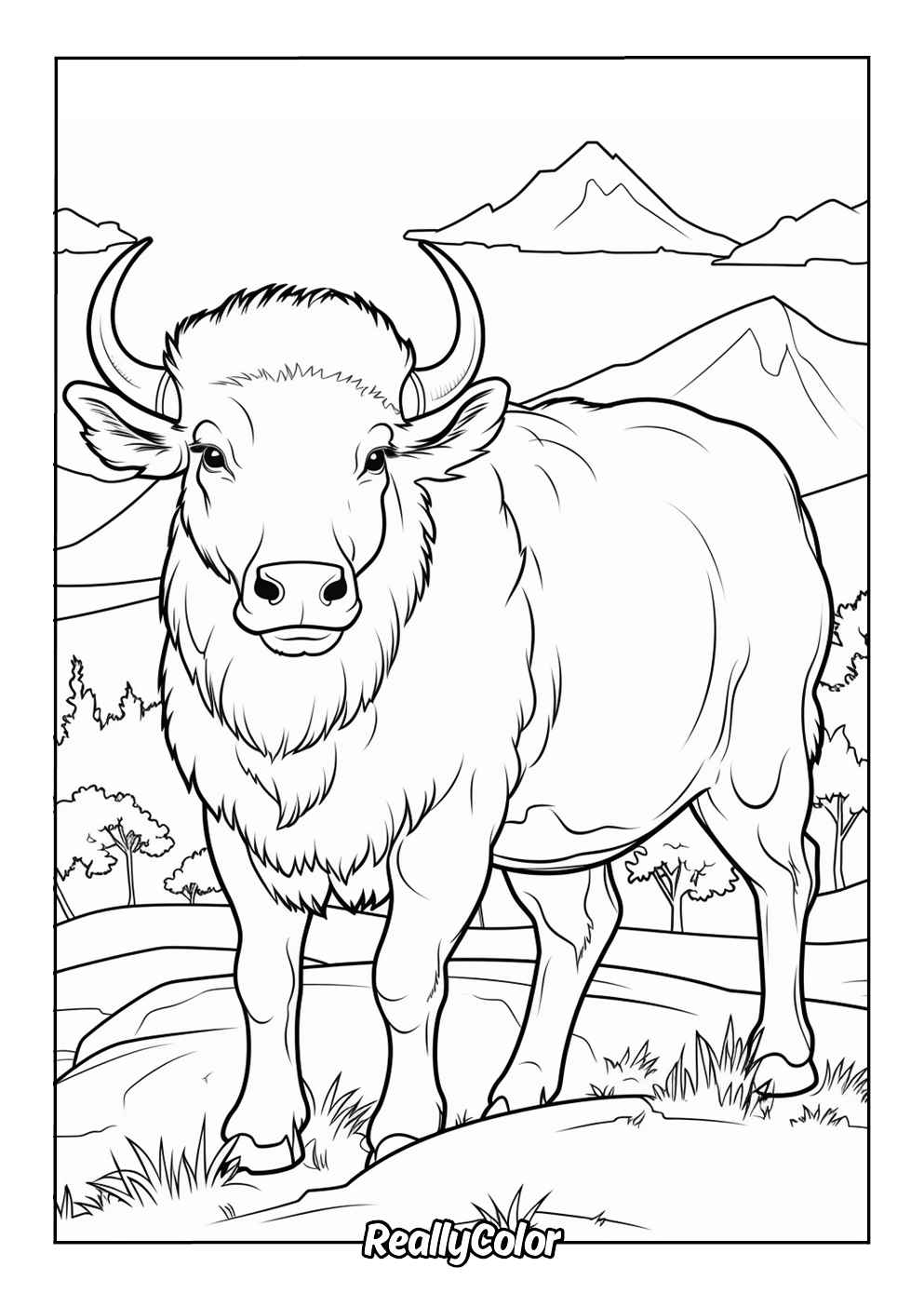 Free Printable Bison Coloring Pages