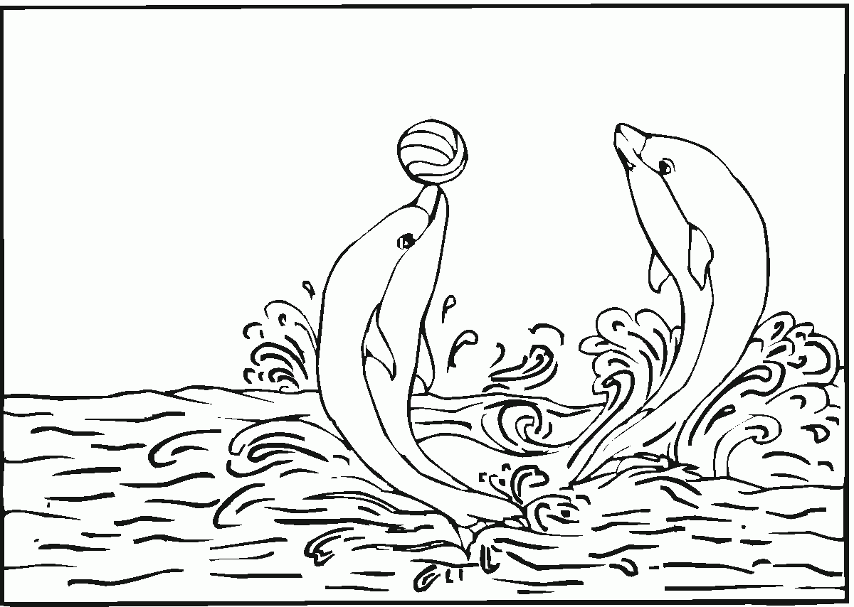 Free Printable Dolphin Malvorlagen F r Kinder