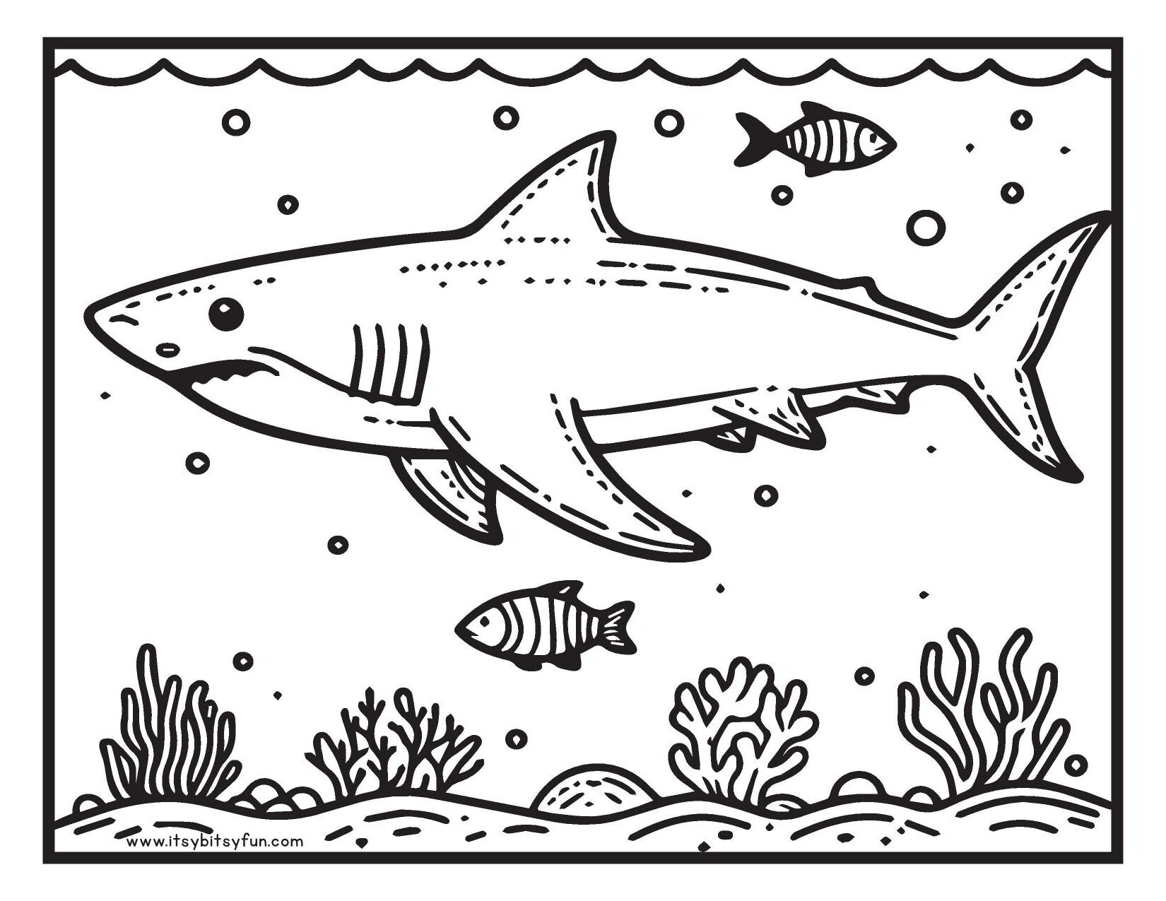 shark coloring book pages