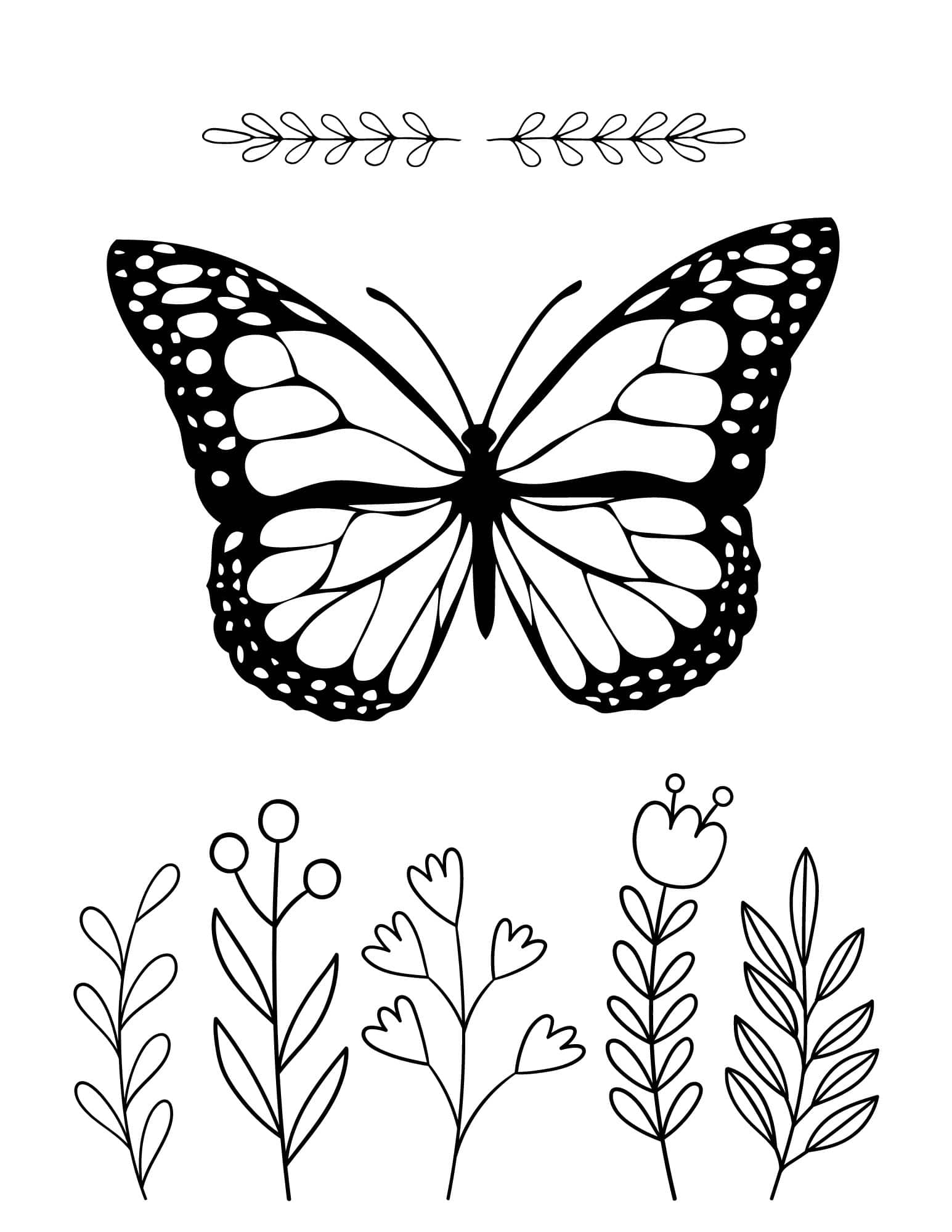 butterfly coloring sheets free