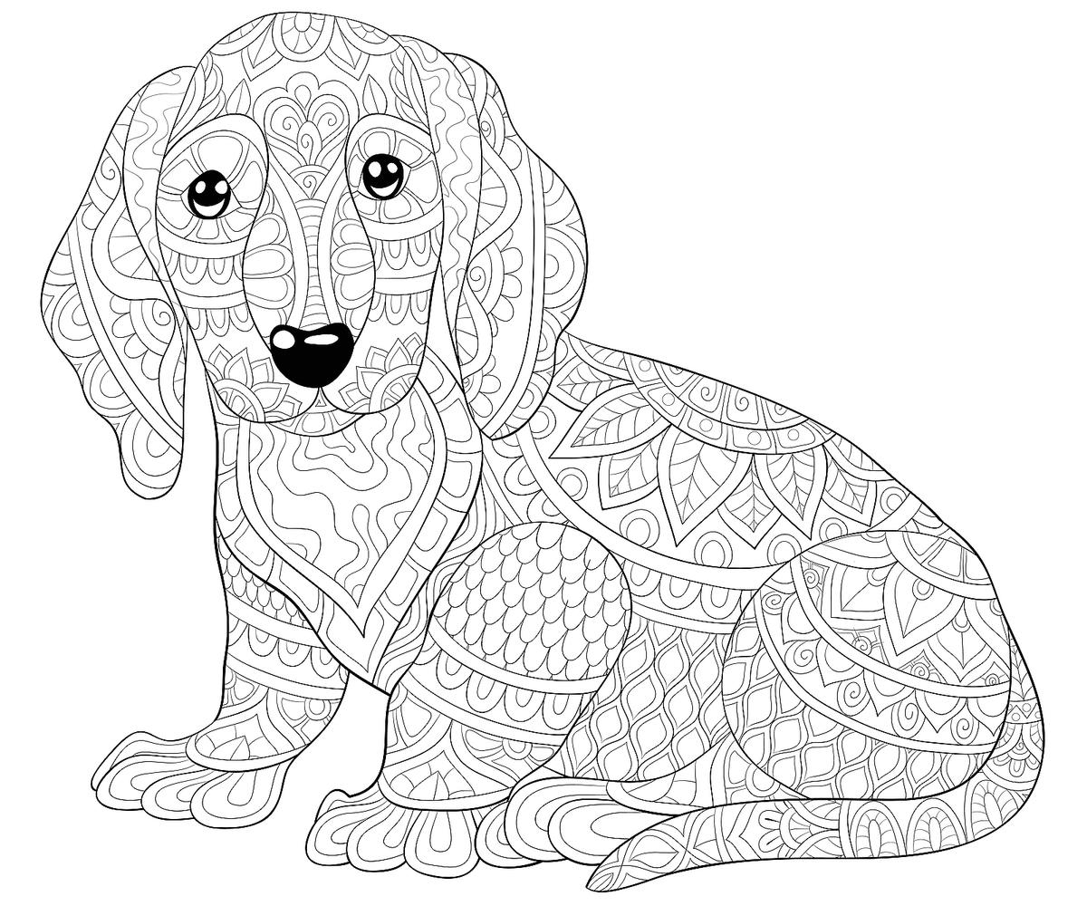 free printable dog coloring sheets