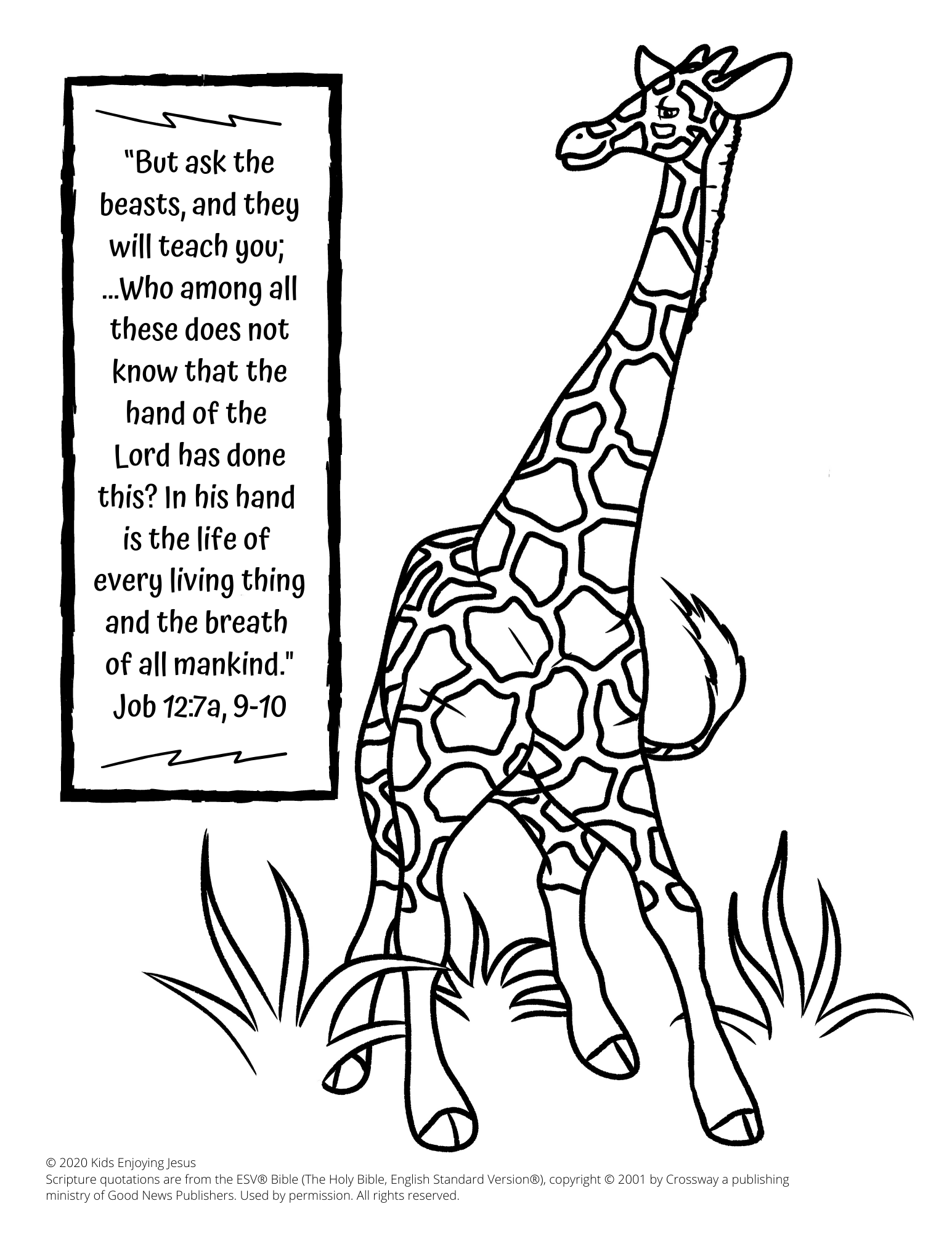 coloring sheets of giraffes