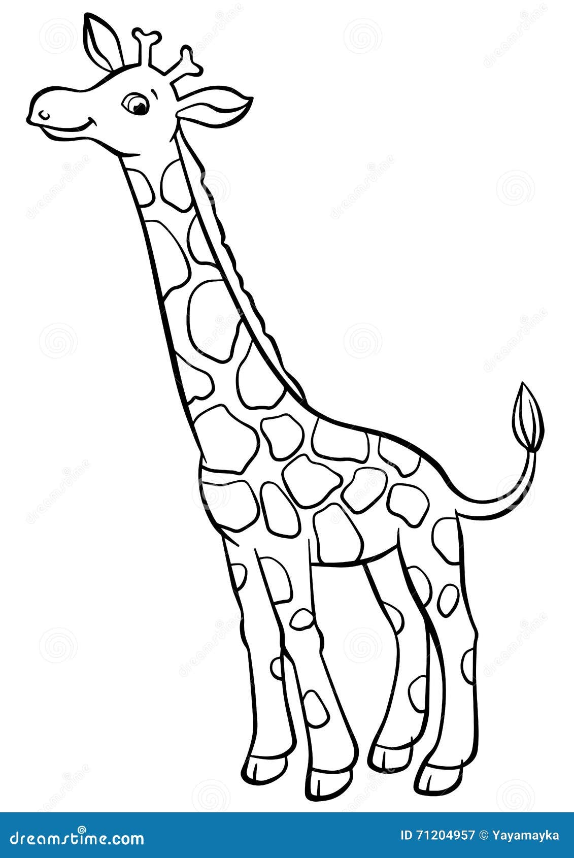 Giraffe Colouring Pages Stock Illustrations 114 Giraffe Colouring Pages Stock Illustrations Vectors Clipart Dreamstime