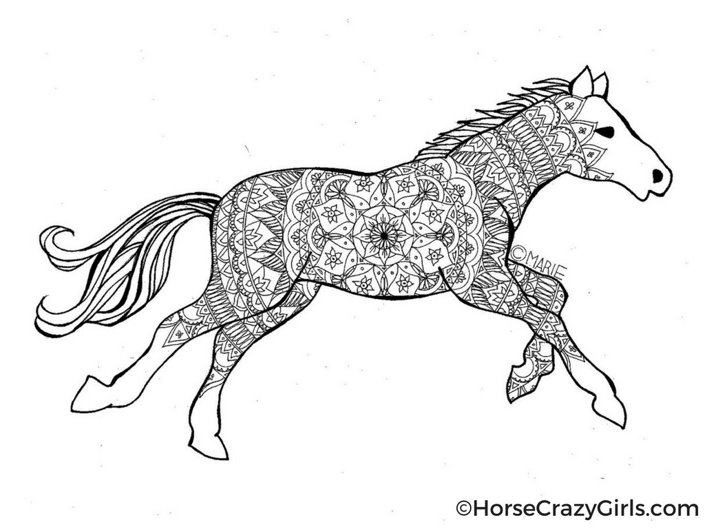 horse coloring sheets to print