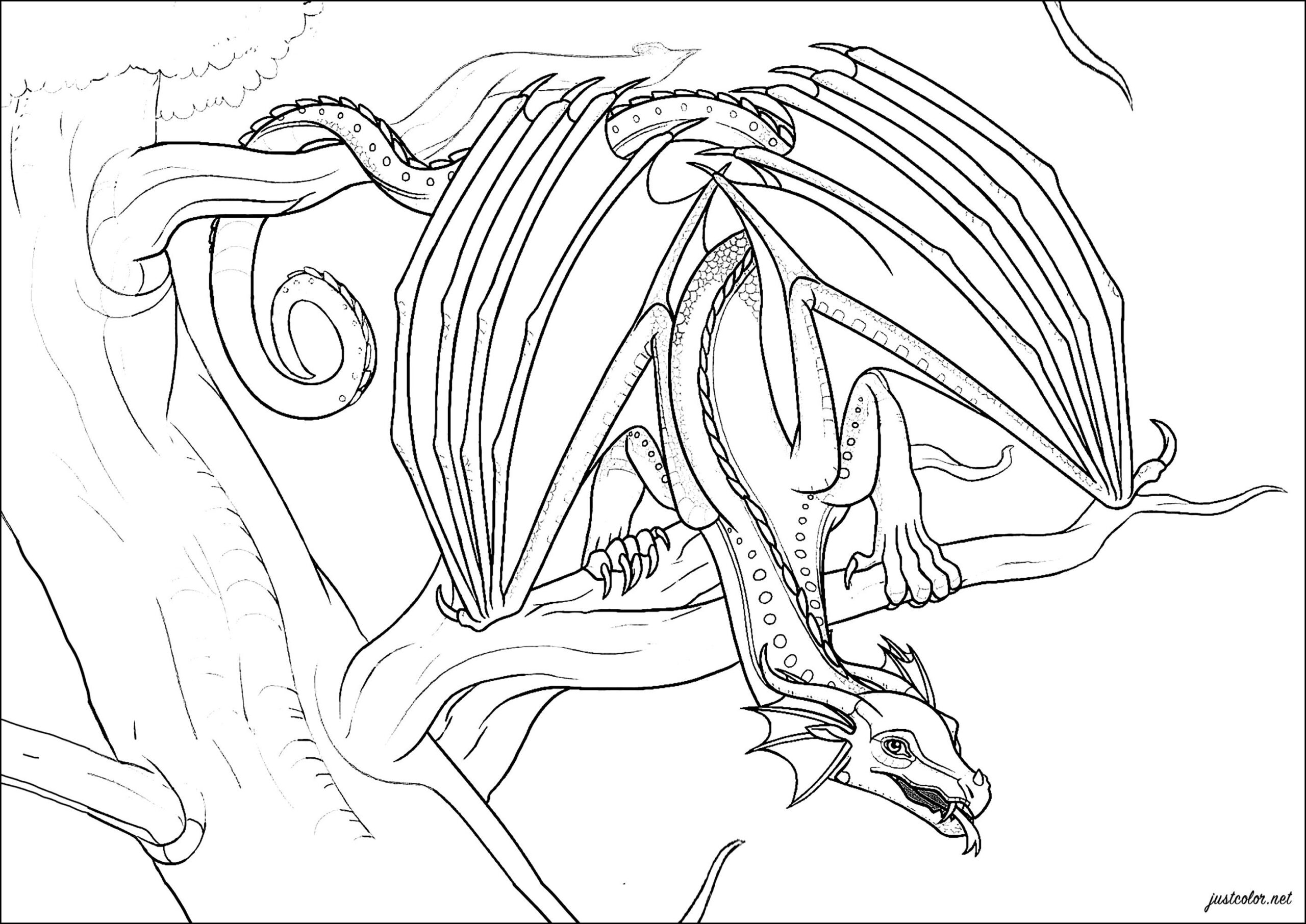 wings of fire coloring pages
