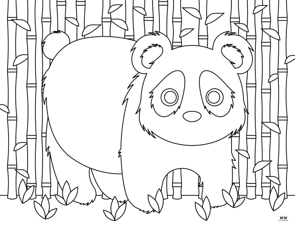 panda bear pictures to color panda bear pictures to color