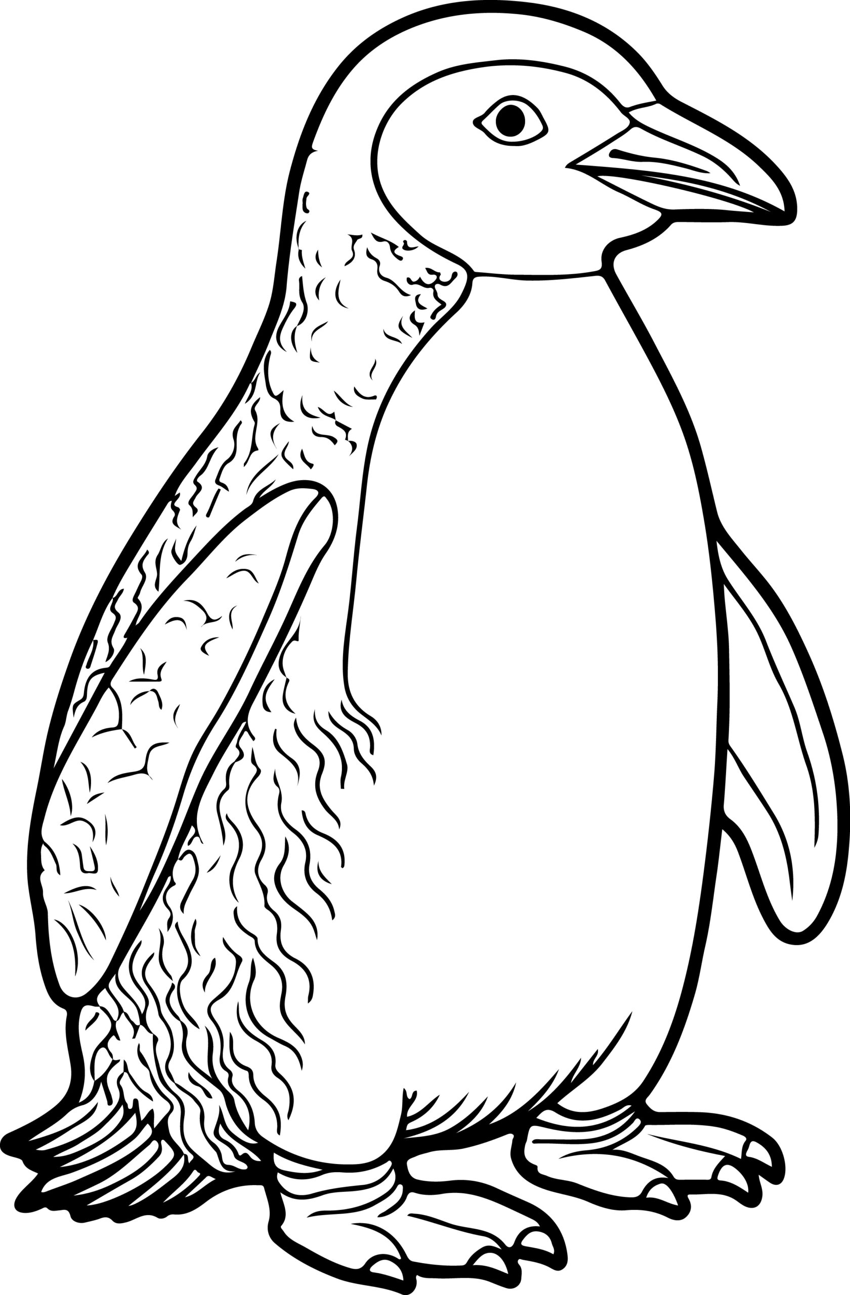 coloring pics of penguins