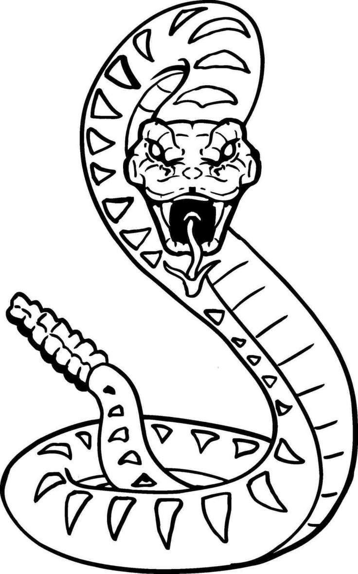 Pin By Momo On A Inspiration Tatts In 2025 Snake Drawing Snake Coloring Pages Lego