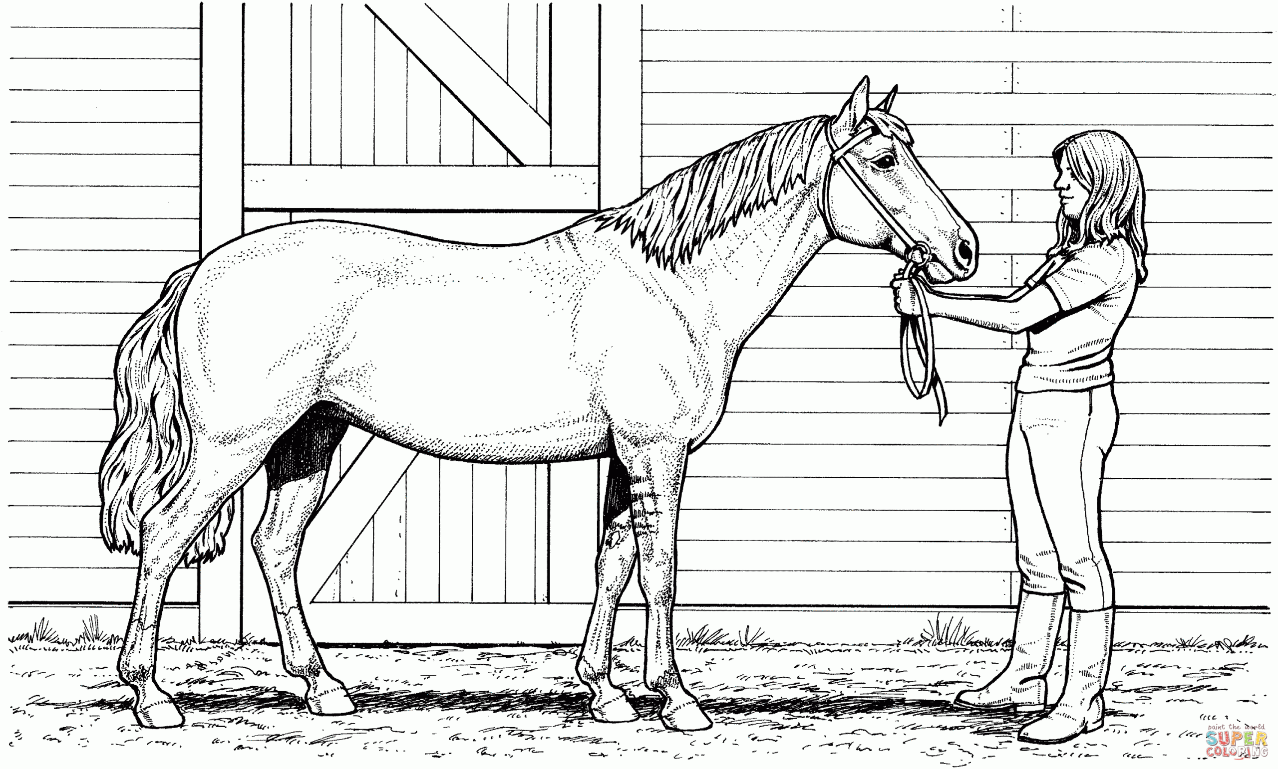 coloring pages of horses