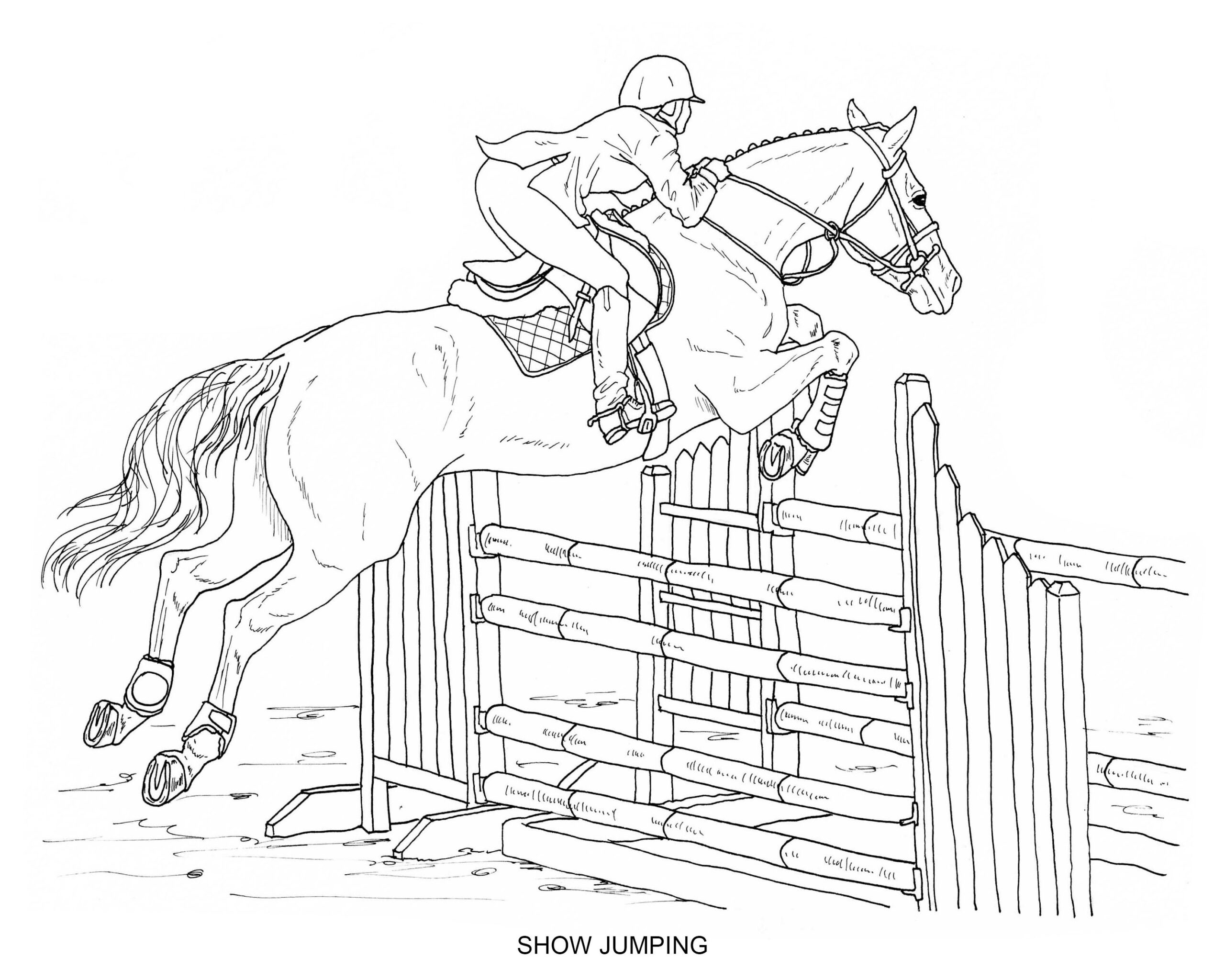 PRINTABLE Set Of 8 English Riding Coloring Pages Digital Download Etsy Australia