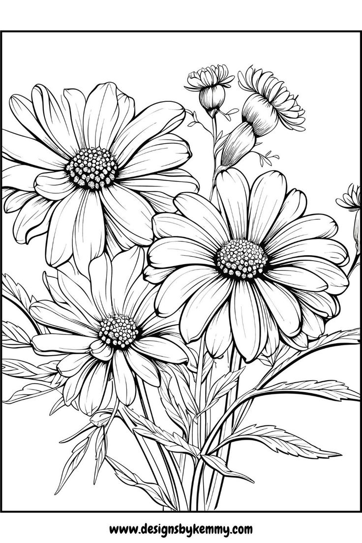 printable coloring pages of flowers