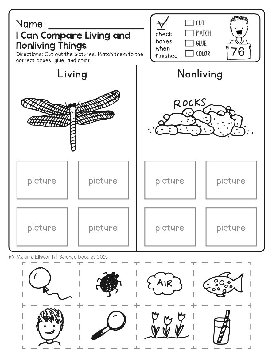 free printable science worksheets
