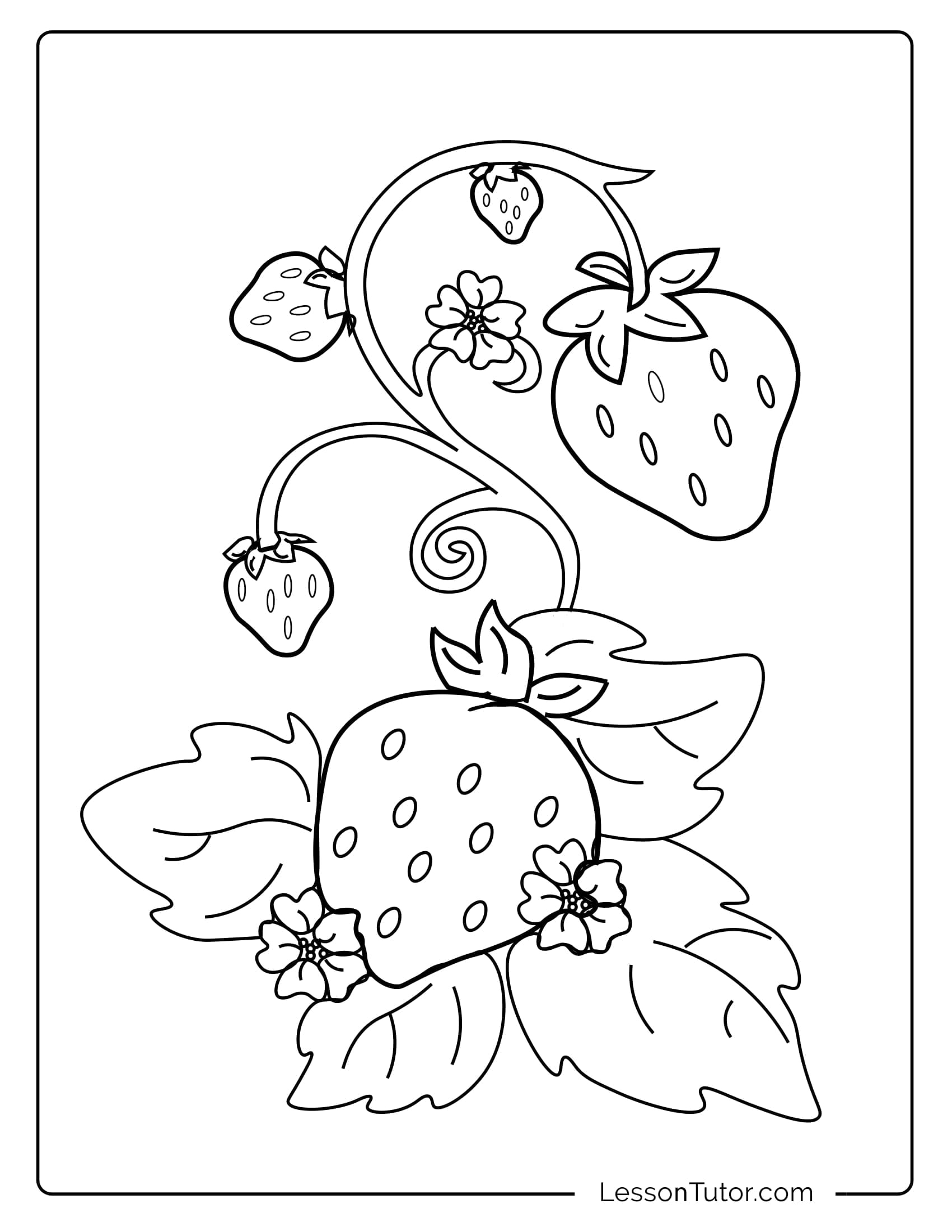 strawberry plant coloring page