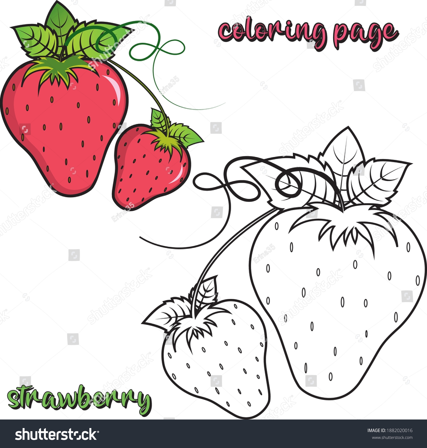 coloring picture of a strawberry